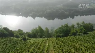 九游娱乐APP-德国劲旅遭遇困境,惊现欧冠出局视频