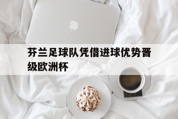 九游娱乐APP-芬兰足球队凭借进球优势晋级欧洲杯冠军